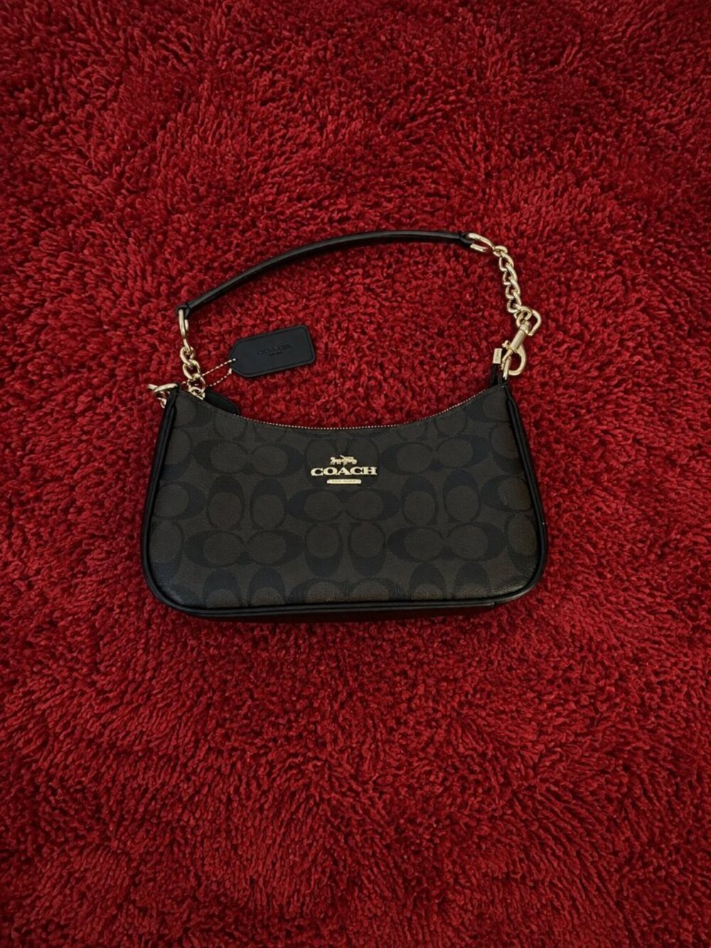 Coach Teri Shoulder Bag